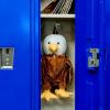 The Petting Zoo Bald Eagle Stuffed Animal Plushie Backpack, Gifts for Kids, Wildlife Animal Toy, Brown Bald Eagle Plush Toy Book Bag, 20 inches