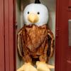 The Petting Zoo Bald Eagle Stuffed Animal Plushie Backpack, Gifts for Kids, Wildlife Animal Toy, Brown Bald Eagle Plush Toy Book Bag, 20 inches