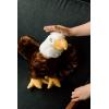 The Petting Zoo Bald Eagle Stuffed Animal Plushie, Gifts for Kids, Earth Keeperz Wildlife Animals, Zoologee Bald Eagle Plush Toy, 12 inches