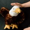 The Petting Zoo Bald Eagle Stuffed Animal Plushie, Gifts for Kids, Earth Keeperz Wildlife Animals, Zoologee Brown Bald Eagle Plush Toy, 10 inches