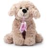 The Petting Zoo Ballerina Scruffy Dog Stuffed Animal, Gifts for Kids, Caramel Brown Dog Plush Toy 10 Inches