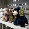 The Petting Zoo Bear Stuffed Animal, Gifts for Kids, Wild Onez Zoo Animals, Black Bear Plush Toy 9 inches(Small)