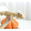 The Petting Zoo Bearded Dragon Stuffed Animal, Gifts for Kids, Wild Onez Zoo Animals, Bearded Dragon Plush Toy 24 inches