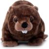 The Petting Zoo Beaver Stuffed Animal, Gifts for Kids, Wild Onez Zoo Animals, Beaver Plush Toy 12 inches