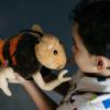 The Petting Zoo Cave Cricket Stuffed Animal Plushie, Gifts for Kids, Wild Onez Insect Animals, Brown Cricket Plush Toy, 12 inches