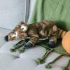 The Petting Zoo Coatimundi Stuffed Animal Plushie, Gifts for Kids, Wild Onez Zoo Animals, Zoologee Coatimundi Plush Toy 12 inches(12in)