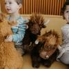 The Petting Zoo Floppy Highland Cow Plushie Stuffed Animal, Gifts for Kids, Wild Onez Wildlife Animals, Brown Cow Plush Toy, 24 inches