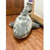 The Petting Zoo Great White Shark Animal Plushie, Gifts for Kids, Wild Onez Sealife Animals, Grey Shark Plush Toy, 72 inches