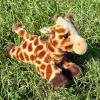 The Petting Zoo Grey Wolf Stuffed Animal Plushie, Gifts for Kids, Scoopz Wildlife Animals, Wolf Plush Toy, 8 inches(Giraffe)