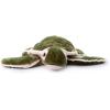 The Petting Zoo, Hatchling Sea Turtle Stuffed Animal, Gifts for Kids, Baby Sea Turtle Plush Toy 12 inches