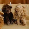 The Petting Zoo Highland Cow Plushie Stuffed Animal, Gifts for Kids, Wild Onez Wildlife Animals, Standing Cow Plush Toy, 12 inches