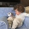 The Petting Zoo Raccoon Stuffed Animal Plushie, Gifts for Kids, Wild Onez Babiez Zoo Animals, Raccoon Plush Toy 6 inches