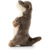 The Petting Zoo River Otter Stuffed Animal Plushie, Gifts for Kids, Wild Onez Babiez Wildlife Animals, River Otter Plush Toy 6 Inches(6 in)