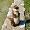The Petting Zoo River Otter Stuffed Animal Standing, Gifts for Kids, Wild Onez Zoo Animals, River Otter Plush Toy Standing 14 inches