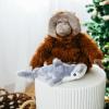 The Petting Zoo Seahorse Stuffed Animal Plushie, Gifts for Kids, Scoopz Sealife Animals, Seahorse Plush Toy, 8 inches(Hammerhead Shark)