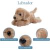 The Petting Zoo Seahorse Stuffed Animal Plushie, Gifts for Kids, Scoopz Sealife Animals, Seahorse Plush Toy, 8 inches(Yellow Lab Dog)