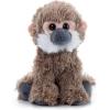 The Petting Zoo Squirrel Monkey Stuffed Animal Plushie, Gifts for Kids, Wild Onez Babiez Wildlife Animals, Monkey Plush Toy 6 inches