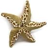 The Petting Zoo Starfish Stuffed Animal, Gifts for Kids, Starfish Plush Toy, 12in (Pink)(Tan)