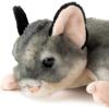 The Petting Zoo Sugar Glider Stuffed Animal Plushie, Gifts for Kids, Wild Onez Wildlife Animals, Sugar Glider Plush Toy 9 inches