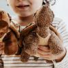 The Petting Zoo Tortoise Stuffed Animal Plushie, Gifts for Kids, Wild Onez Farm Animals, Tortoise Plush Toy 9 Inches
