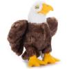 The Petting Zoo Bald Eagle Stuffed Animal Plushie, Gifts for Kids, Earth Keeperz Wildlife Animals, Zoologee Brown Bald Eagle Plush Toy, 10 inches