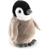 Penguin Chick