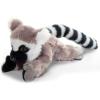 Ring-tailed Lemur