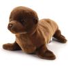 Sea Lion