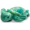 Sea Turtle