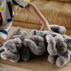 The Petting Zoo African Elephant Stuffed Animal Plushie, Gifts for Kids, Earth Keeperz Wildlife Animals, Zoologee Grey African Elephant Plush Toy, 10 inches