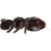 The Petting Zoo Ant Stuffed Animal Plushie, Gifts for Kids, Wild Onez Insect Animals, Ant Plush Toy, 12 inches