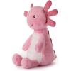 The Petting Zoo Axolotl Stuffed Animal Plushie, Gifts for Kids, Bumblez Animals, Pink Axolotl Plush Toy, 12 inches