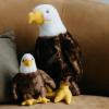 The Petting Zoo Bald Eagle Stuffed Animal, Gifts for Kids, Wild Onez Zoo Animals, Bald Eagle Plush Toy 12 inches