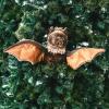 The Petting Zoo Bat Stuffed Animal Plushie, Gifts for Kids, Earth Keeperz Wildlife Animals, Zoologee Bat Plush Toy, 12 inches