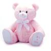 The Petting Zoo Bently Bear Stuffed Animal Plushie, Gifts for Kids, Everyday Teddy Bears, It’s a Girl Pink Teddy Bear Plush Toy with Display Box, 12 inches