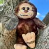 The Petting Zoo Bigfoot Boy Stuffed Animal Plushie, Gifts for Kids, Wild Onez Wildlife Animals, Zoologee Bigfoot Ape Plush Toy, 10 inches(10 inches)
