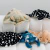 The Petting Zoo Blue-Spotted Stingray Stuffed Animal Plushie, Gifts for Kids, Earth Keeperz Sealife Animals, Zoologee Blue-Spotted Stingray Plush Toy, 22 inches