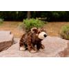The Petting Zoo Brown Bear Stuffed Animal Plushie, Gifts for Kids, Earth Keeperz Wildlife Animals, Zoologee Brown Bear Plush Toy, 12 inches
