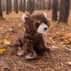 The Petting Zoo Brown Bear Stuffed Animal Plushie, Gifts for Kids, Wild Onez Babiez Zoo Animals, Brown Bear Plush Toy 6 inches(6 in)