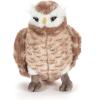 The Petting Zoo Burrowing Owl Stuffed Animal Plushie, Gifts for Kids, Wild Onez Wildlife Animals, Owl Plush Toy, 9 inches