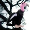 The Petting Zoo California Condor Stuffed Animal Plushie, Gifts for Kids, Wild Onez Zoo Animals, Condor Plush Toy 12 inches