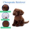 The Petting Zoo Chesapeake Retriever Dog Stuffed Animal Plushie, Gifts for Kids, Brown Dog Plush Toy 12 inches