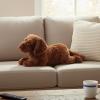 The Petting Zoo Chesapeake Retriever Dog Stuffed Animal Plushie, Gifts for Kids, Brown Dog Plush Toy 24 inches