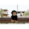 The Petting Zoo Chimp Stuffed Animal Plushie, Gifts for Kids, Earth Keeperz Wildlife Animals, Zoologee Black Chimp Plush Toy, 10 inches