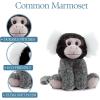 The Petting Zoo Common Marmoset Stuffed Animal Plushie, Gifts for Kids, Wild Onez Wildlife Animals, Monkey Plush Toy 9 Inches