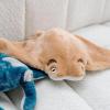 The Petting Zoo Cownose Stingray Stuffed Animal Plushie, Gifts for Kids, Earth Keeperz Sealife Animals, Zoologee Brown Stingray Plush Toy, 16 inches