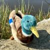 The Petting Zoo Duck Stuffed Animal Plushie, Gifts for Kids, Wild Onez Wildlife Animals, Duck Plush Toy, 12 inches