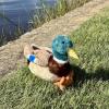 The Petting Zoo Duck Stuffed Animal Plushie, Gifts for Kids, Wild Onez Wildlife Animals, Duck Plush Toy, 12 inches