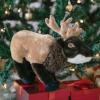 The Petting Zoo Elk Stuffed Animal Plushie, Gifts for Kids, Earth Keeperz Wildlife Animals, Zoologee Brown Elk Plush Toy, 12 inches