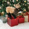 The Petting Zoo Elk Stuffed Animal Plushie, Gifts for Kids, Earth Keeperz Wildlife Animals, Zoologee Brown Elk Plush Toy, 12 inches